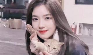 王思聪哄人语录 想你的夜王思聪